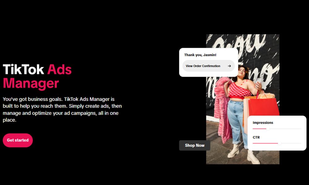 TikTok Ads Manager