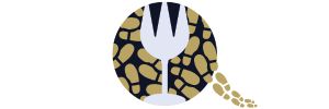 Logo's klanten website EW (6)